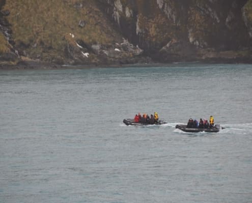 Zodiacs cruising in Elsehul Bay Antarctic Heritage Trust Inspiring Explorers Expedition South Georgia