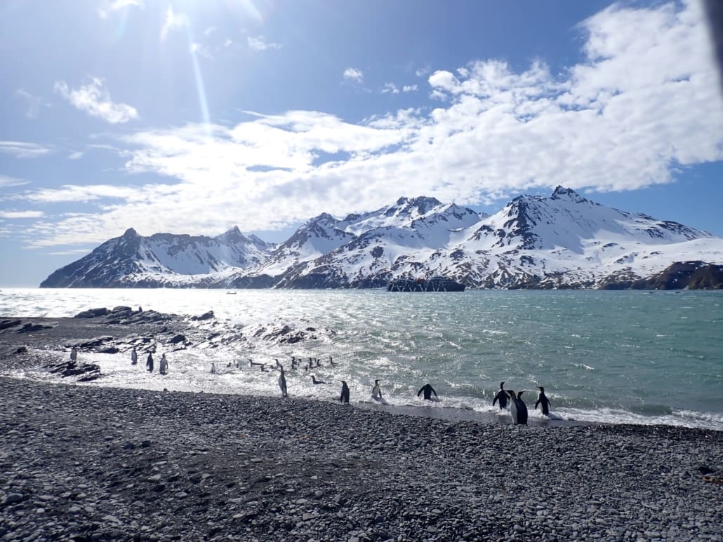 Penguins near the shore with large snowy mountains in the background.